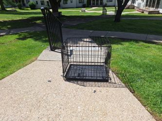 Small Clean Dog Crate