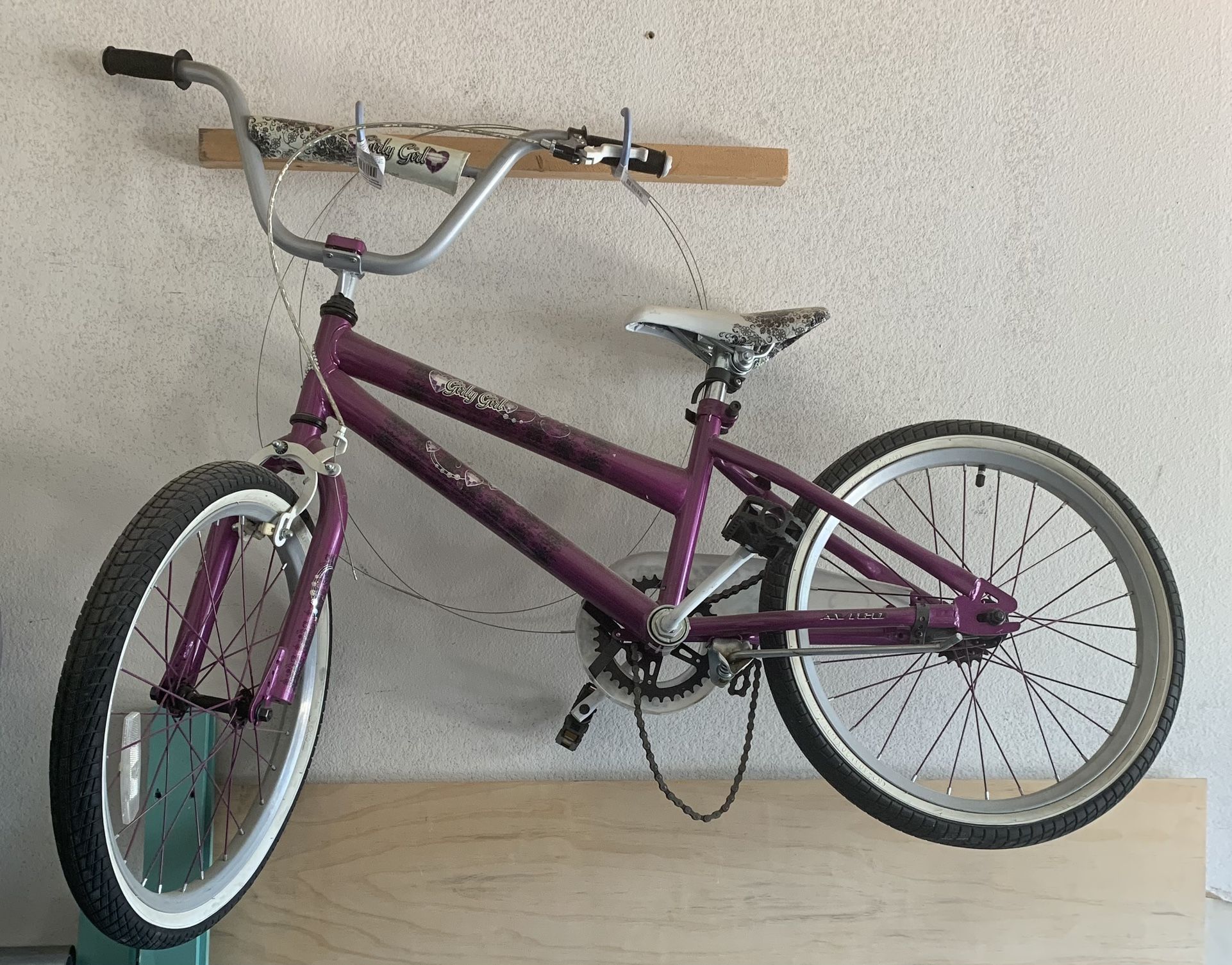 Bike & Ottoman