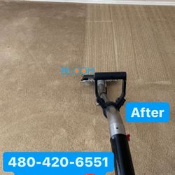 Carpet cleaner 
