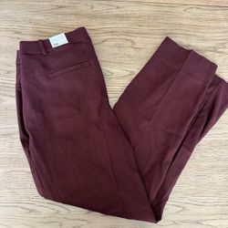 Women’s Lane Bryant The 4 Season Straight Pant