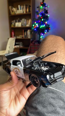 Kid cop car