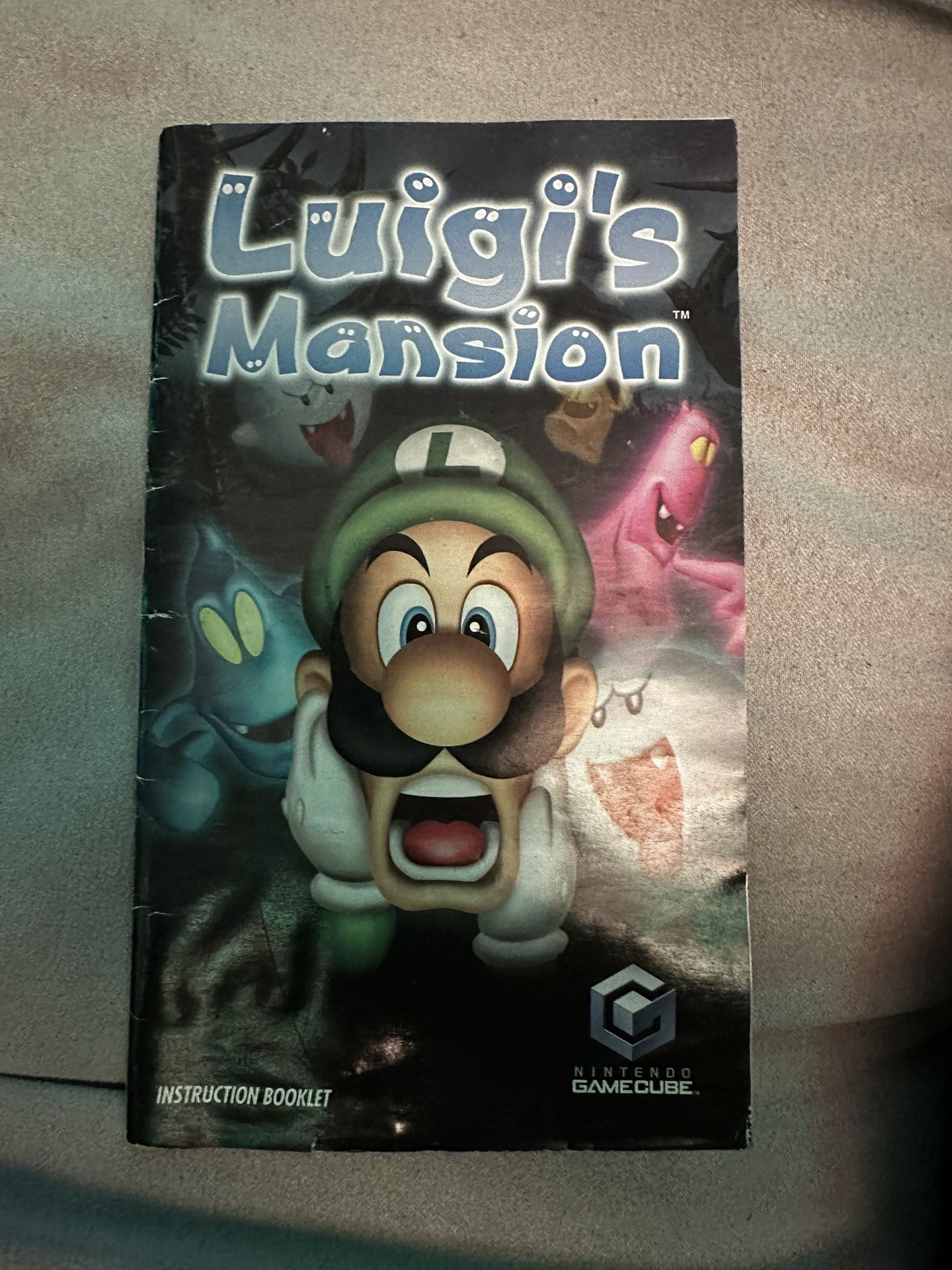 Luigi’s Mansion Manual Only