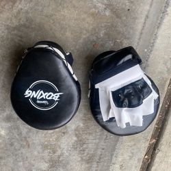Boxing Training Mitts