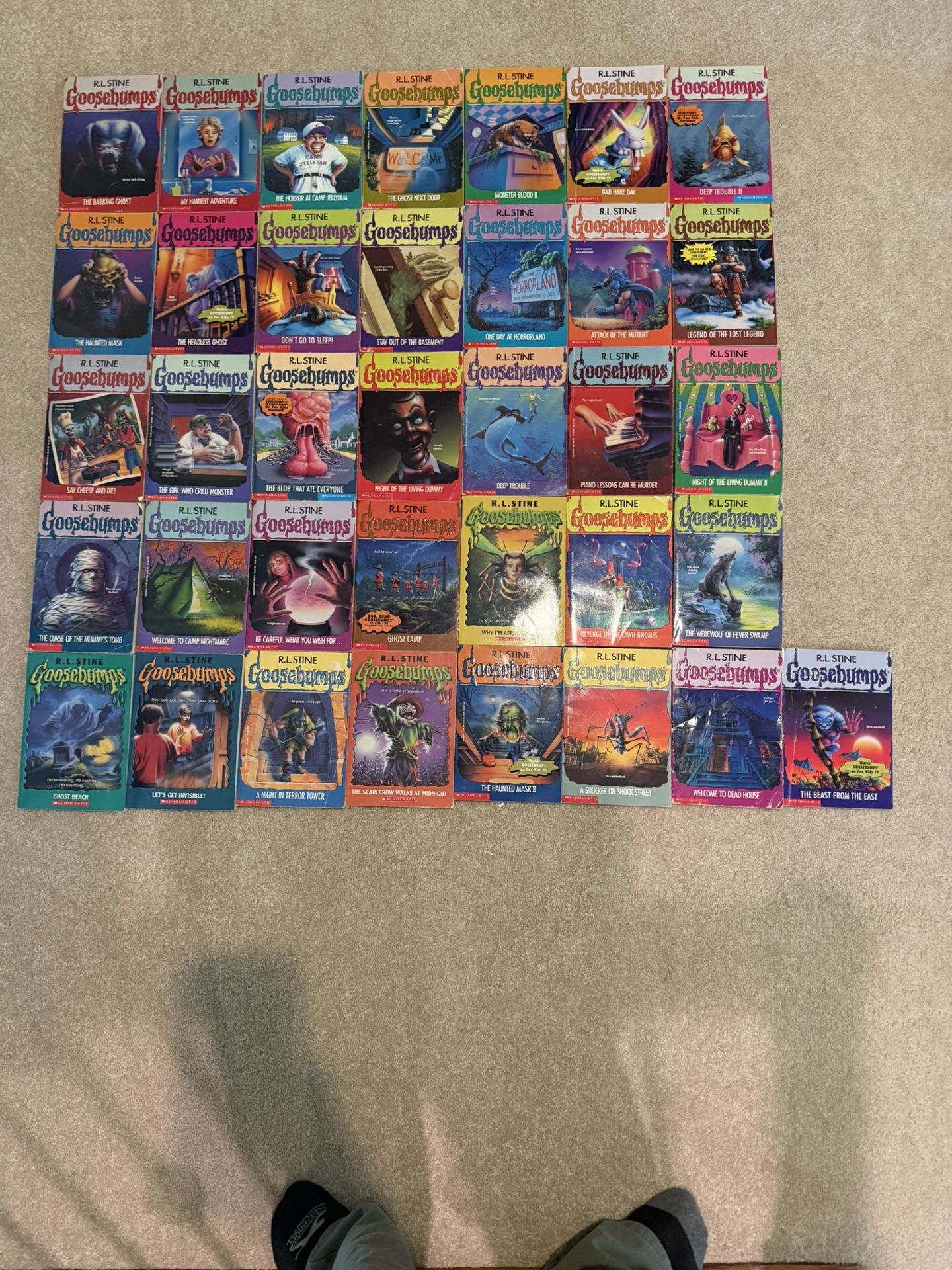 Goosebumps Bulk Lot