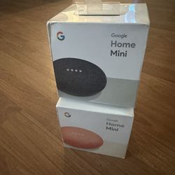 Google Home Mini - (2) Black And Coral 