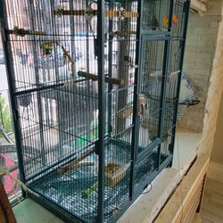 Gigantic Bird Cage