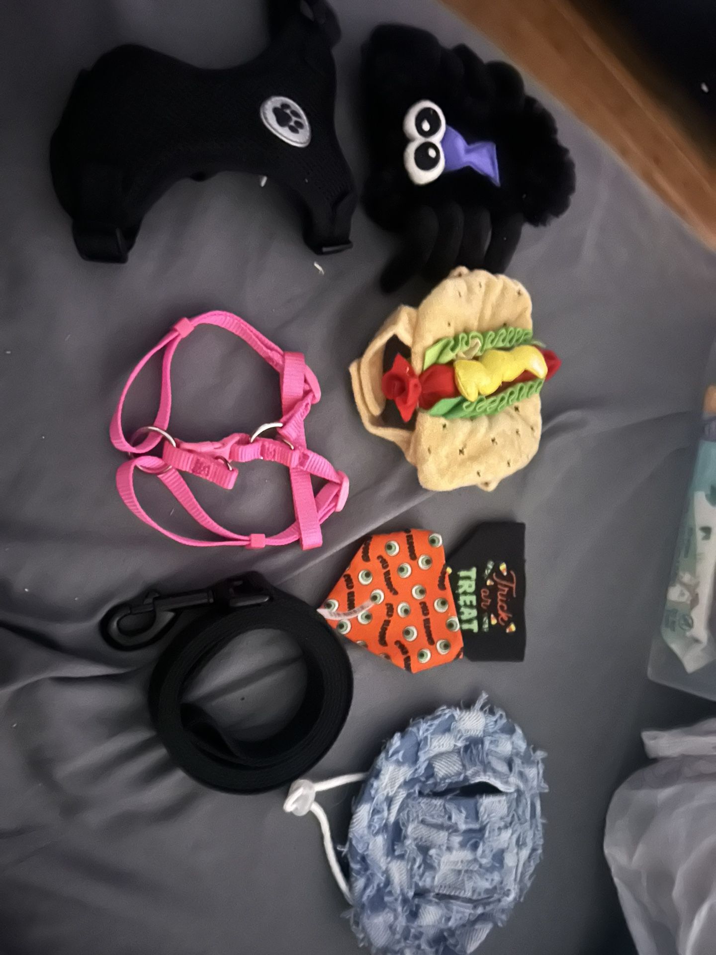 Small Pet Stuff 