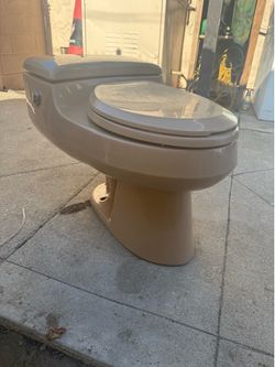 Kohler Toilet with Electric Pump