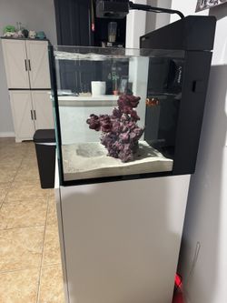 Red Sea 30 Gal Saltwater Aquarium