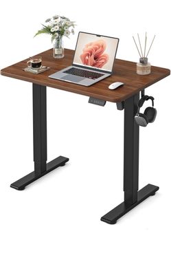 Electric Height-Adjustable Standing Desk