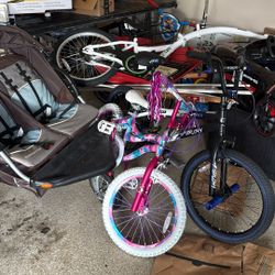Two Bikes, One Stroller, And Co-pilot