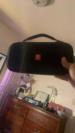 Nintendo Switch Game Case