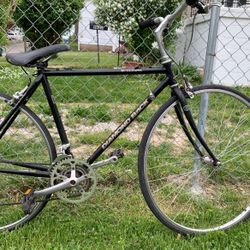 Interval Diamond Sport Bak I’ll Wery Good  100$