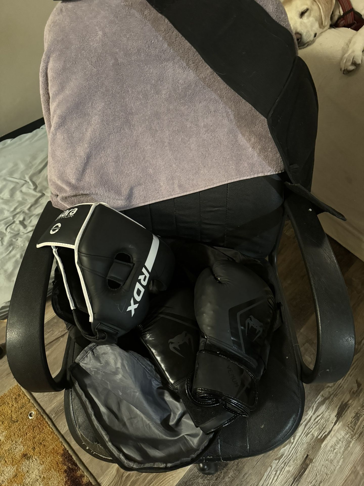 Venom Gloves, Rda Helmet And A Back Brace With A Tote Bag