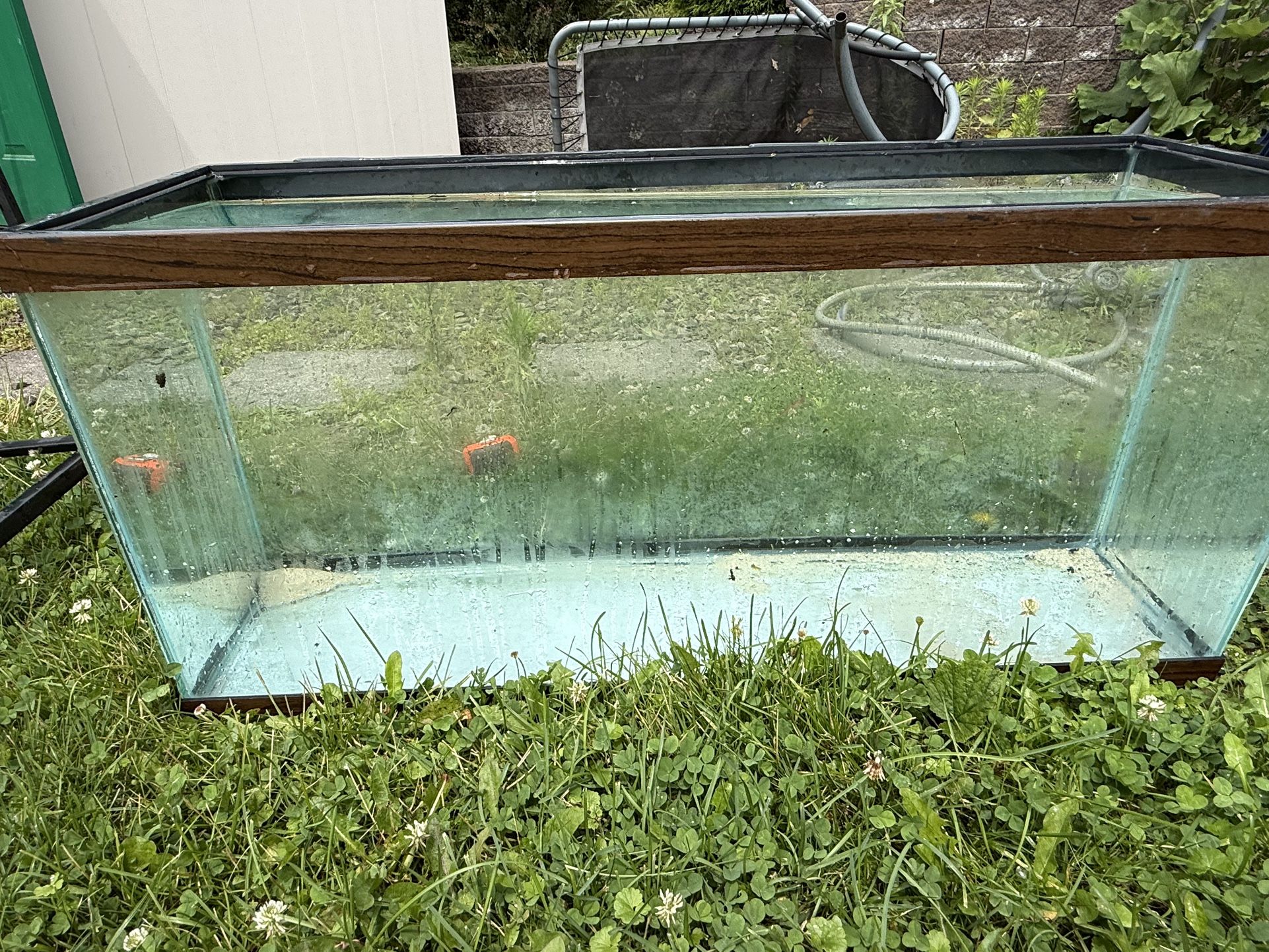 29 Gallon Fish Tank With Stand