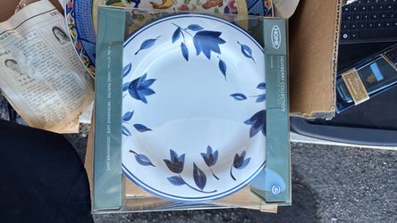 Dinner plates set