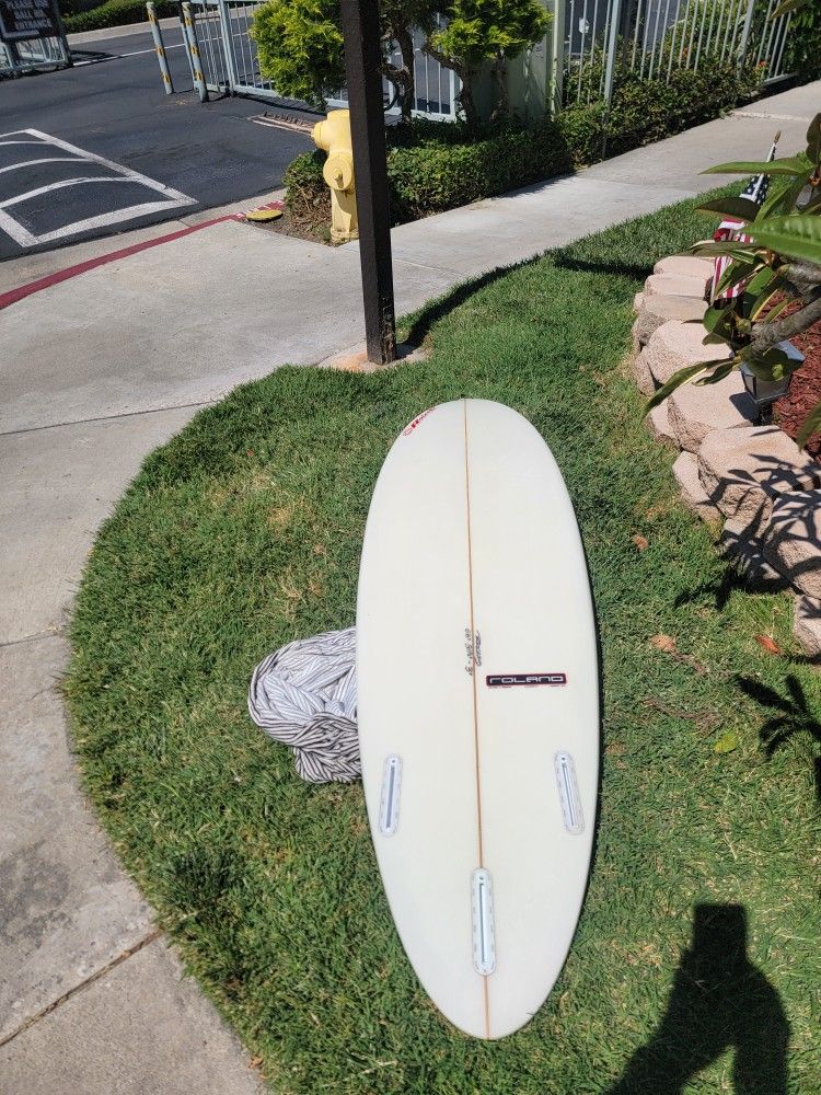 6-6 Roland Pintail