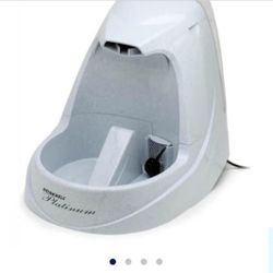Dog Water Fountain