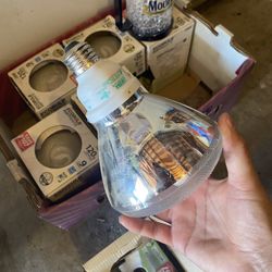 Light Bulbs $5