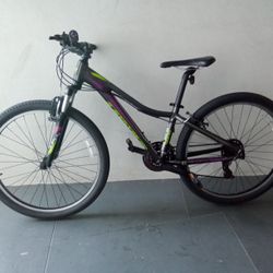 BICYCLE LIV GIANT 21 SPEED SIZE 26 BRAND NEW 
