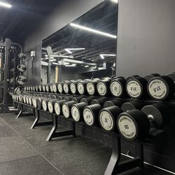 Techogym dumbble set with rack