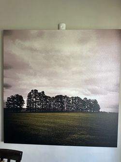Canvas Print Tree Landscape