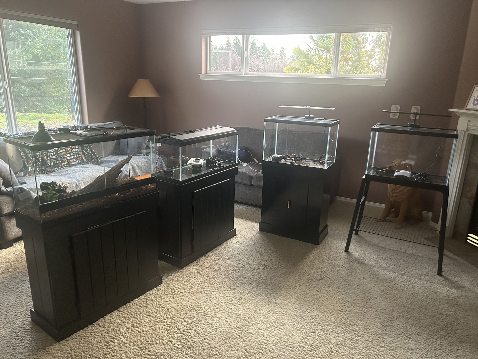 Fish and reptile tanks and aquariums