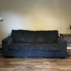 Love Seat Sofa With Pull Out Bed