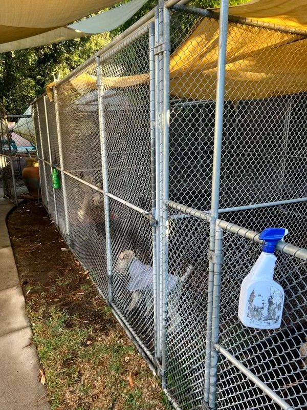Dog Kennels $5000 OBO 