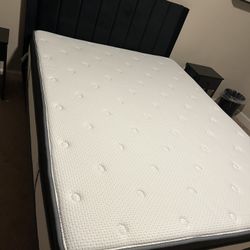 Wayfair Queen Size Mattress And Bed Frame 