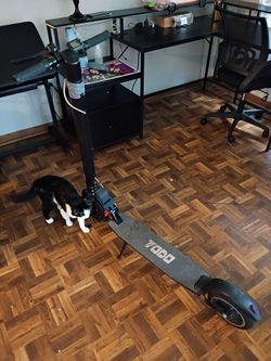 Electric scooter