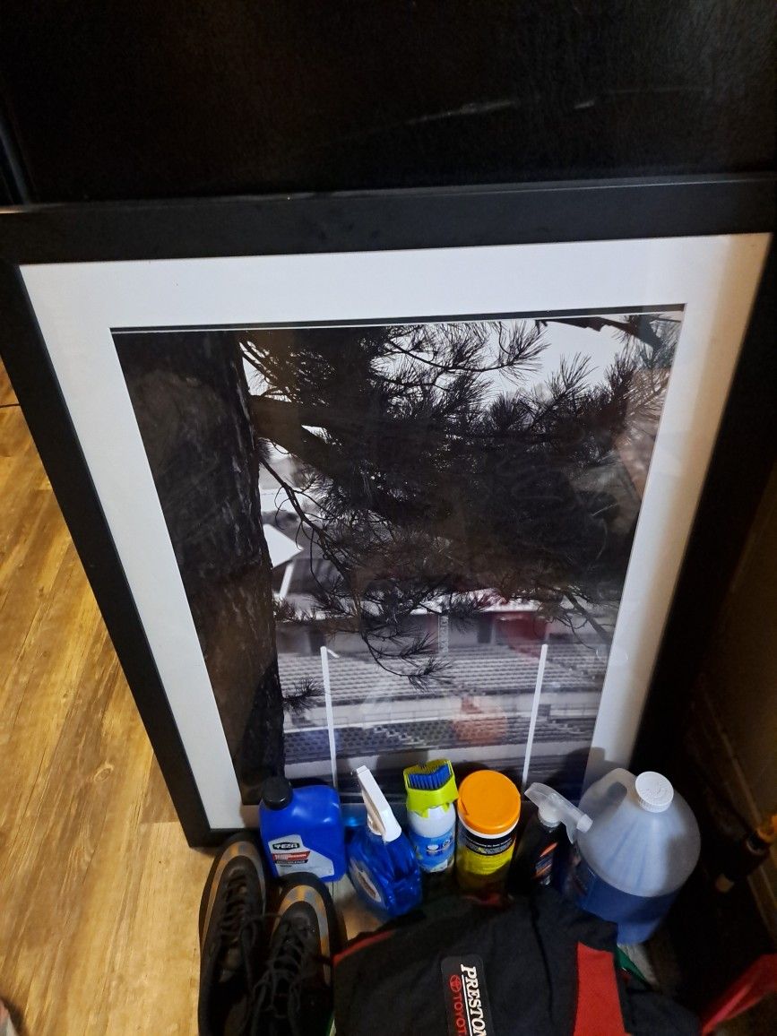 Framed Picture