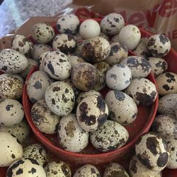 Quail eggs