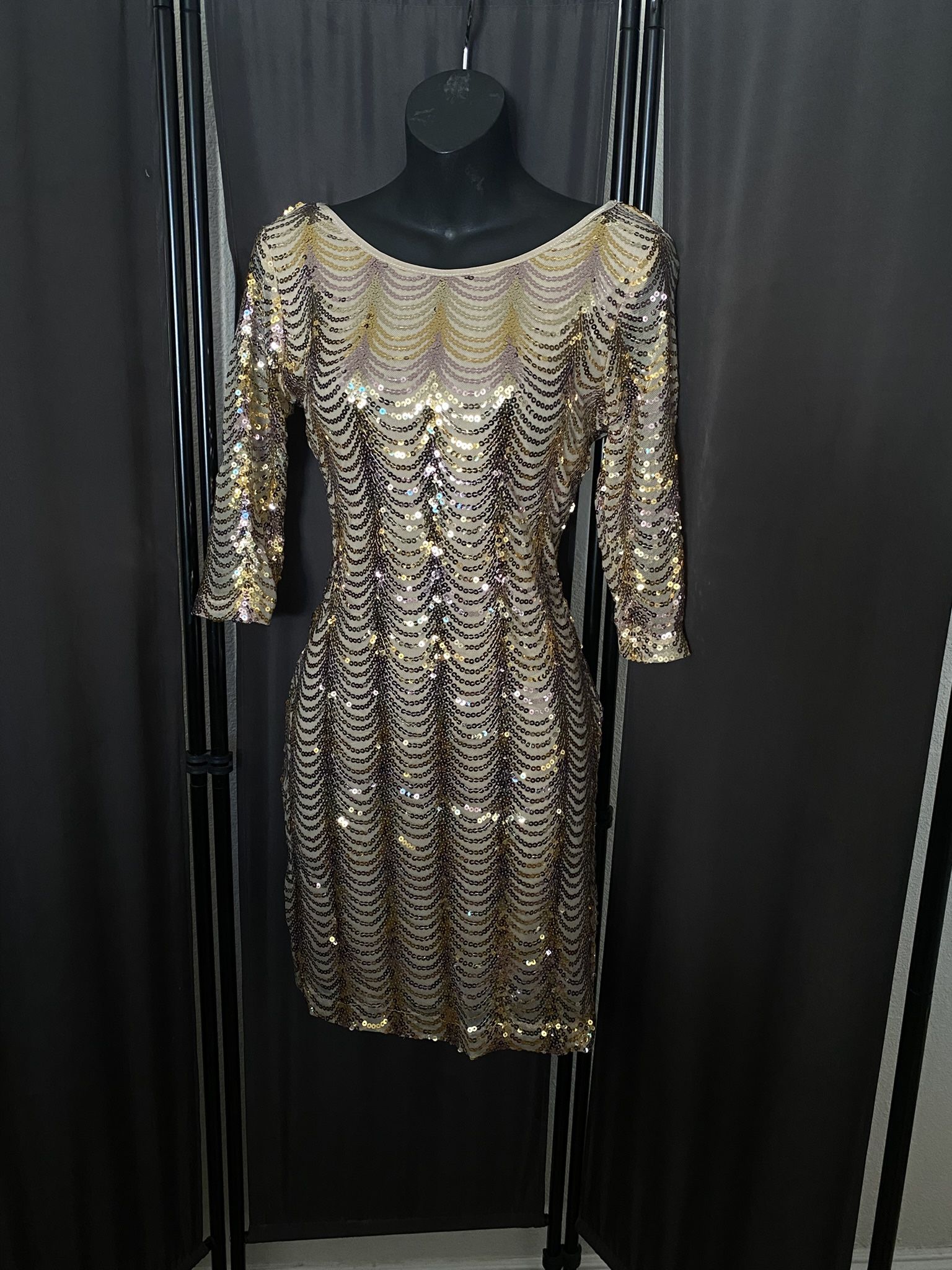 Silver And Gold Sparkling Dress ๐