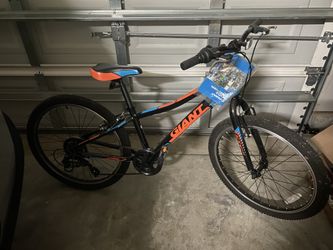 Giant Brand Bike