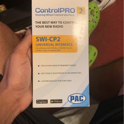 Steering Wheel Control Interface