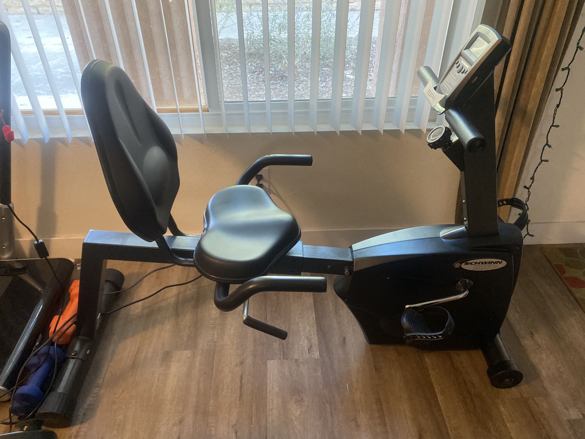 Schwinn 207P Recumbent Exercise Bike