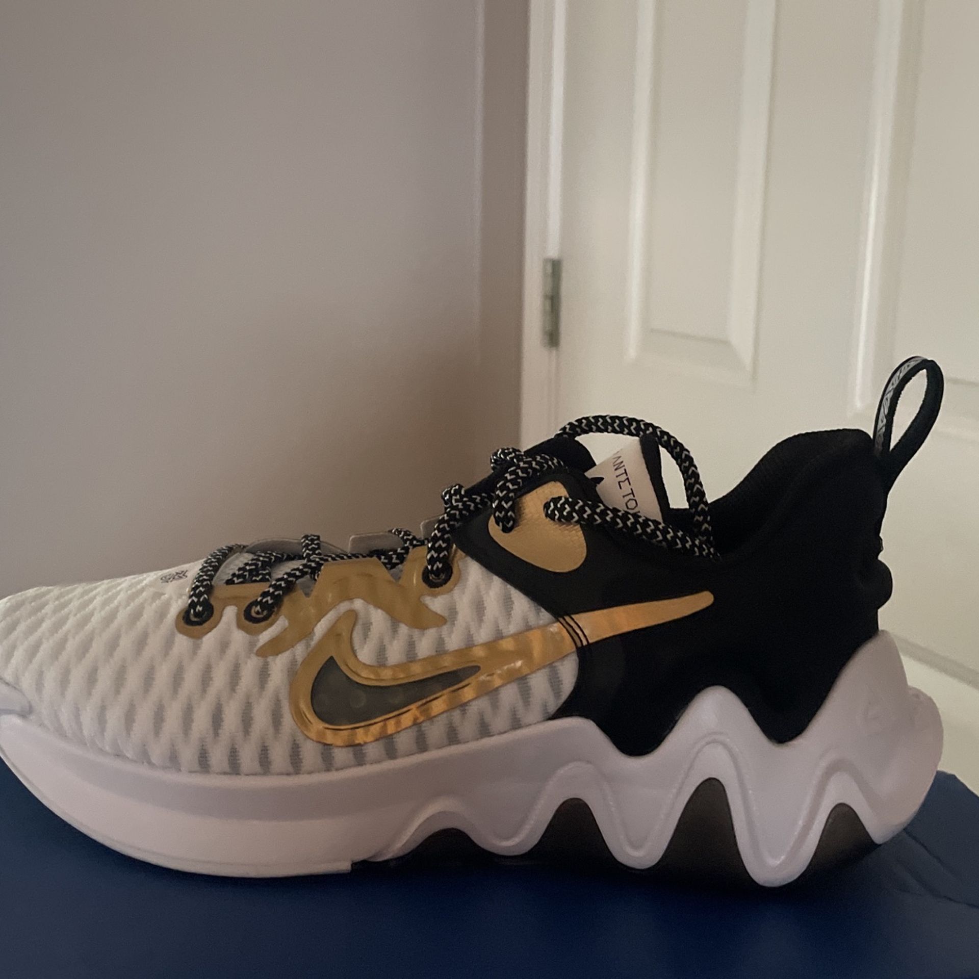 Giannis Basketball/Volleyball Shoes