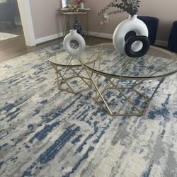 2  Piece Coffee Table Set 