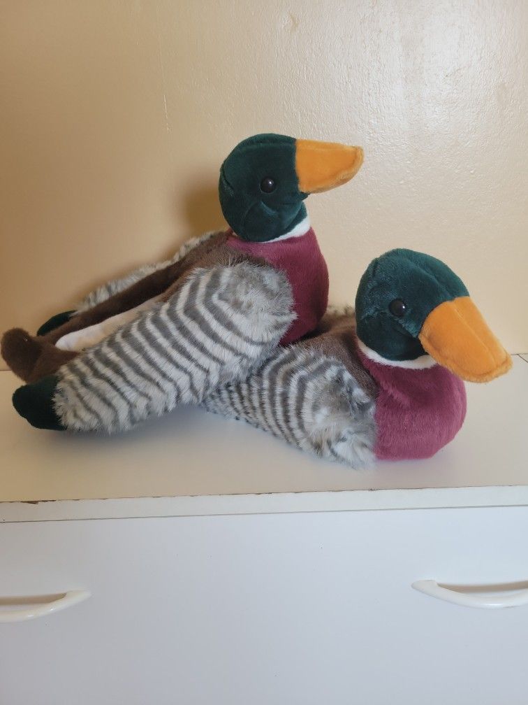 Animal Kingdom Mens Duck Slippers