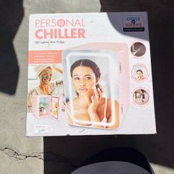 Mini Fridge With Led Light 