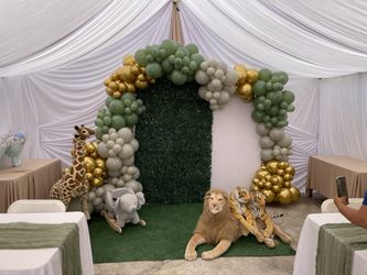 Safari Animals