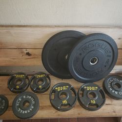 Weight Plates / Gym Equipment 