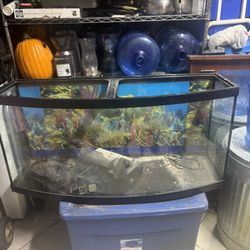 Fish Tank 