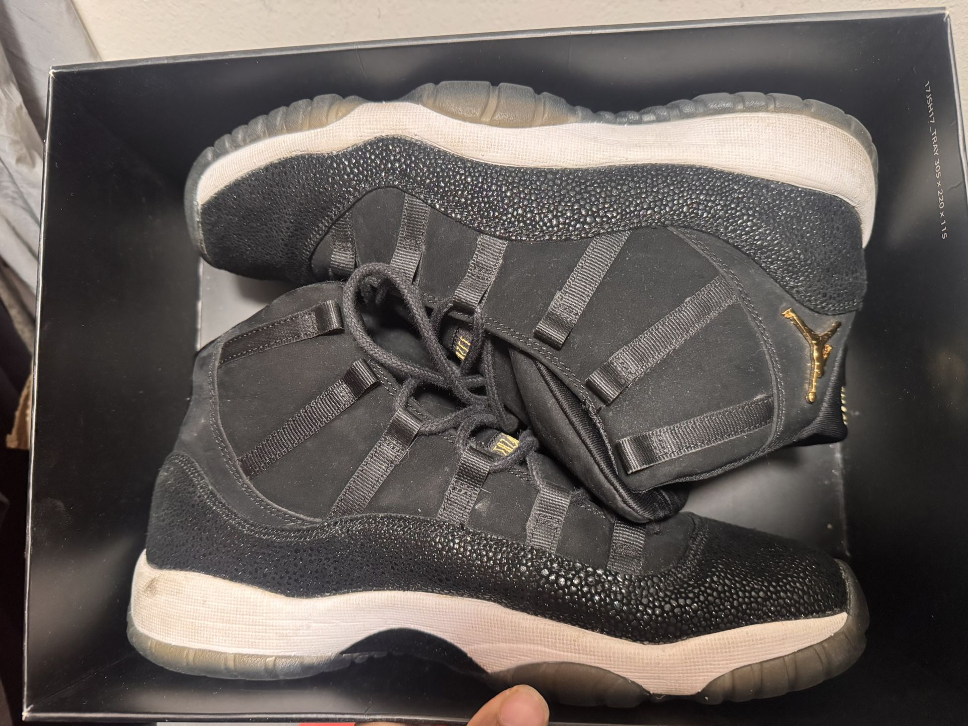 Retro Jordan 11 OVO