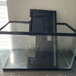 10 Gallon Fish Tank