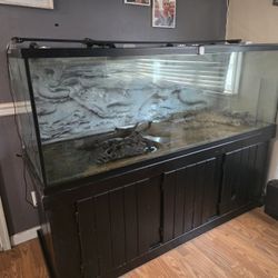 180 Gallon Fish Tank Setup – Ready to Go!