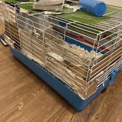 Guinea Pig Cage 