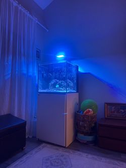 Red Sea 170