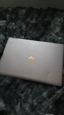 hp laptop